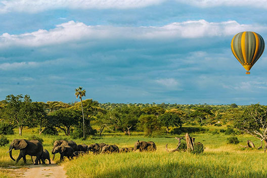 Heissluftballonflug Tarangire
