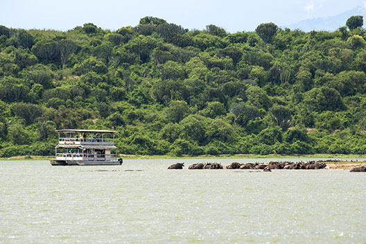 Kazinga Kanal Bootsfahrt